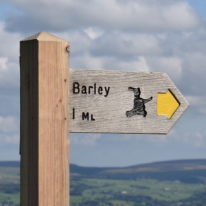 Dave  🇺🇦 🇨🇦 🇩🇰 🇬🇱 🇲🇽