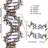 Bio